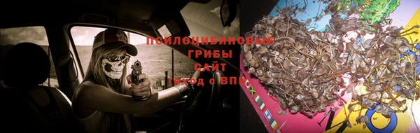метадон Костерёво