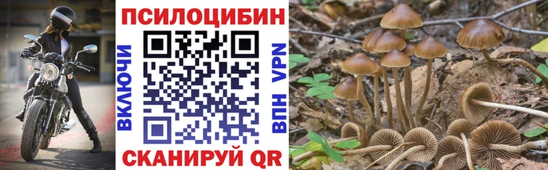 купить закладку  Юрга  Псилоцибиновые грибы Psilocybe 